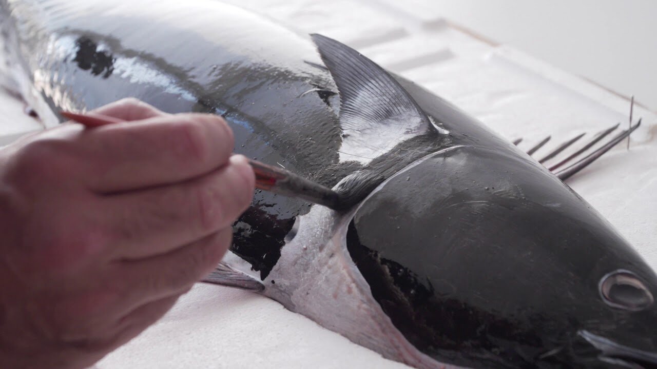 How to print a Gyotaku step by step