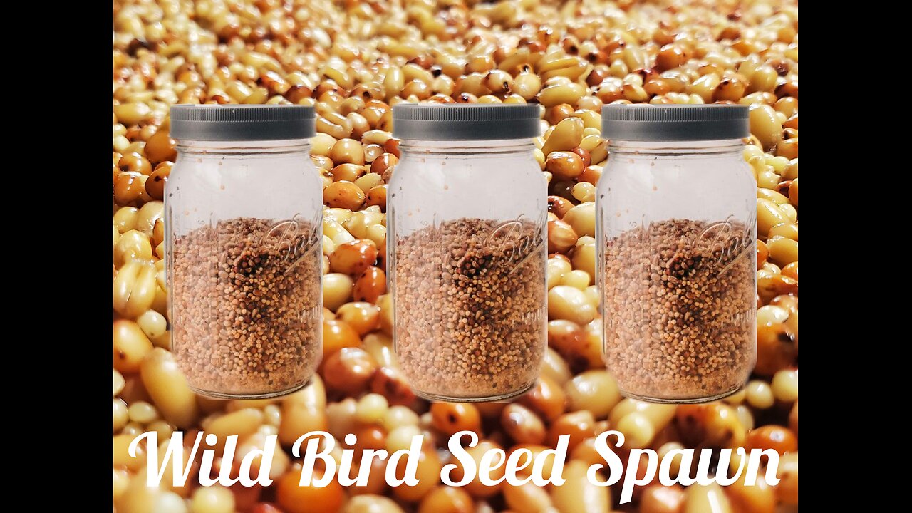 How To Make Wild Bird Seed Mushroom Spawn For Fungi Growing!