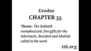 Exodus Chapter 35 (Bible Study)