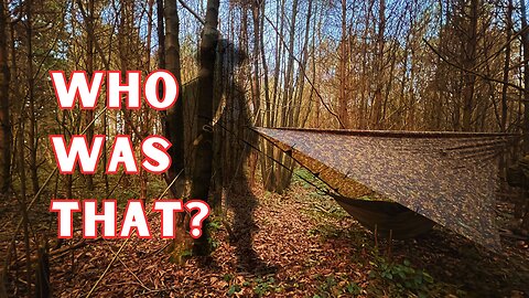 Wild Camping In A Pine Forest Two Days Before Christmas