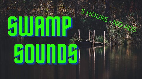 Swamp Sounds of the Southeast - A Relaxing Nostalgic 5-Hour Soothing Journey