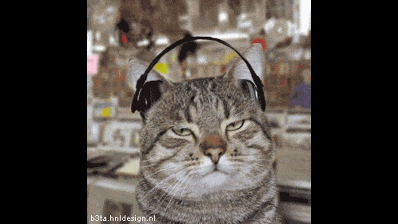 Pat benatar-shadows of the night