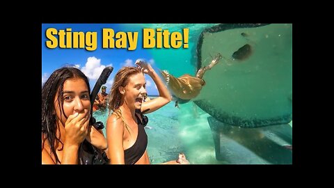 StingRay Bite! - S7:E56