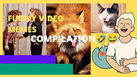 Funny video completion of 2022#memes#funny videos