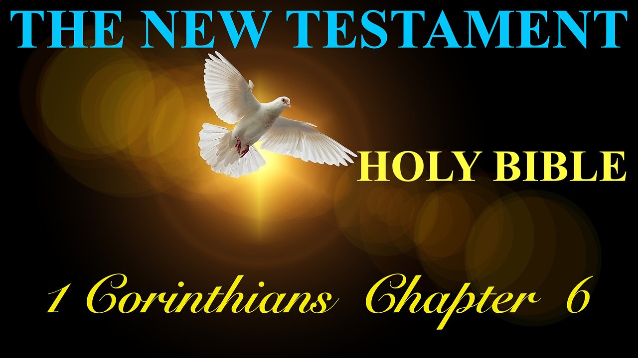 1 Corinthians - Chapter 6 DAILY BIBLE STUDY {Spoken Word - Text - Red Letter Edition}