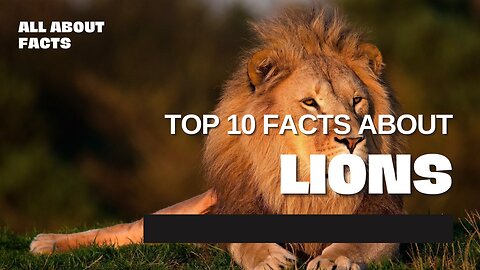 Top 10 Facts About Lions