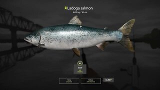 Russian Fishing 4 Volkhov River Ladogo Salmon 4.676 Kg