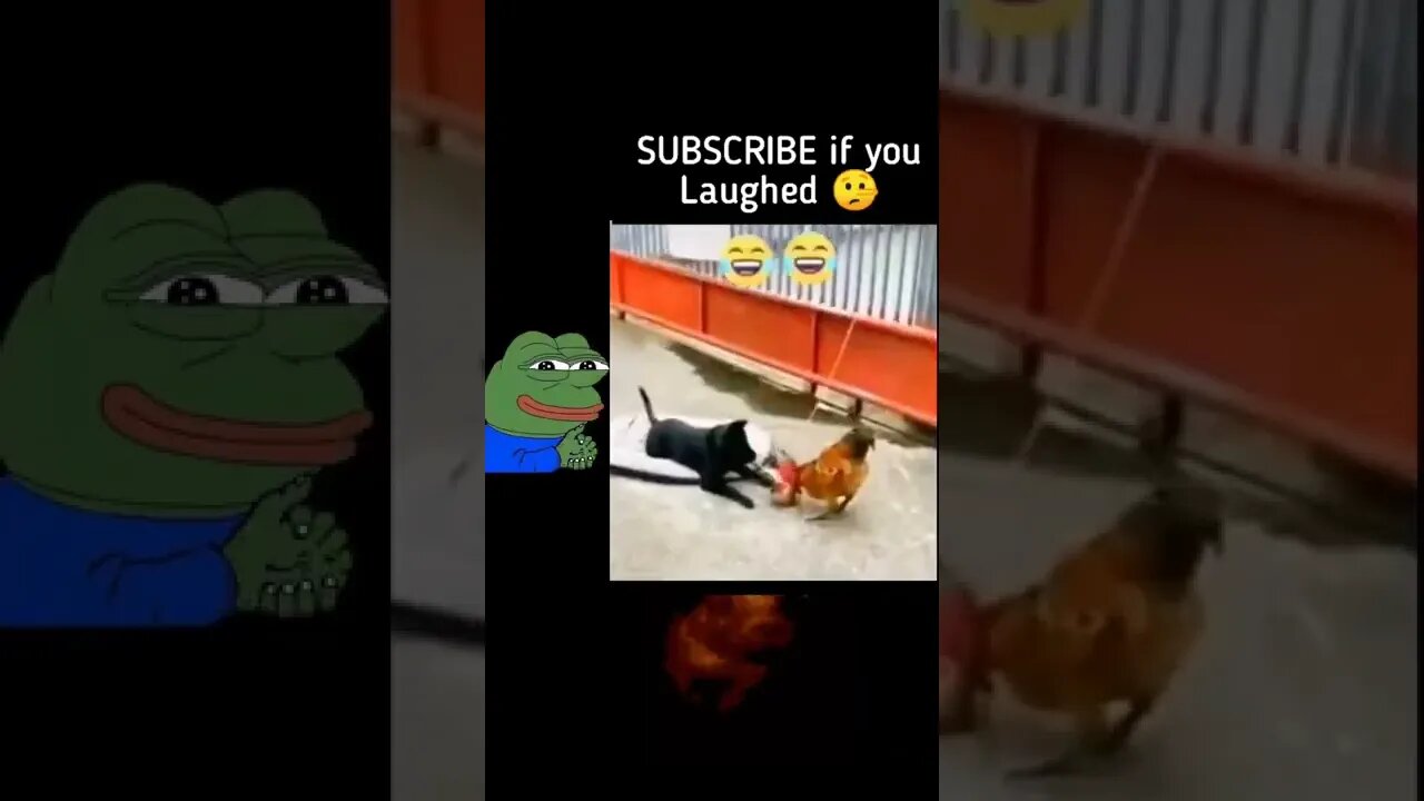 Subscribe if you laugh 🤣