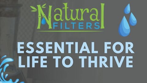 ESSENTIAL FOR LIFE: Natural Water Filters