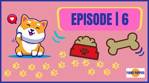 Funny Puppies 🐶 | EP.6