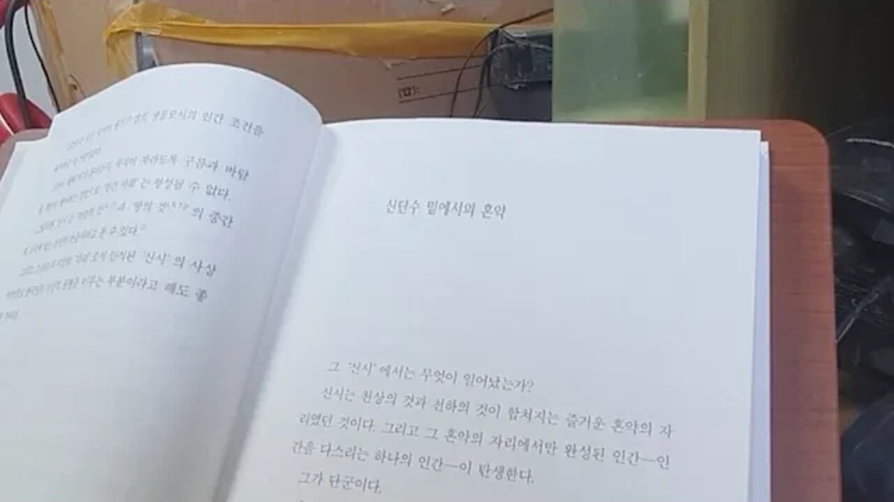 한국인의 신화, 이어령, 신단수, 신시, 혼약, 단군, 짐승, 인간의 나라, 천상의 이미지, 양극, 환웅,
