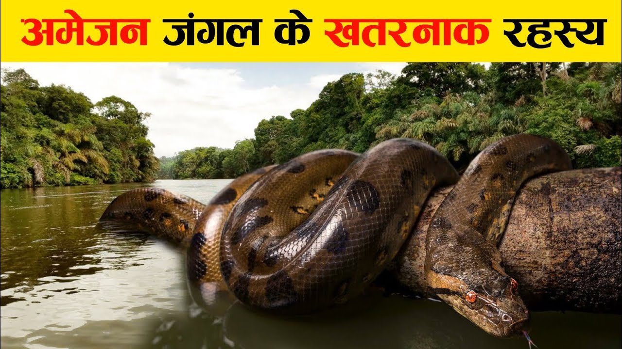 अमेज़न जंगल का रहस्य जिसे कोई नहीं जानता | unsolved mystery of Amazon rainforest.