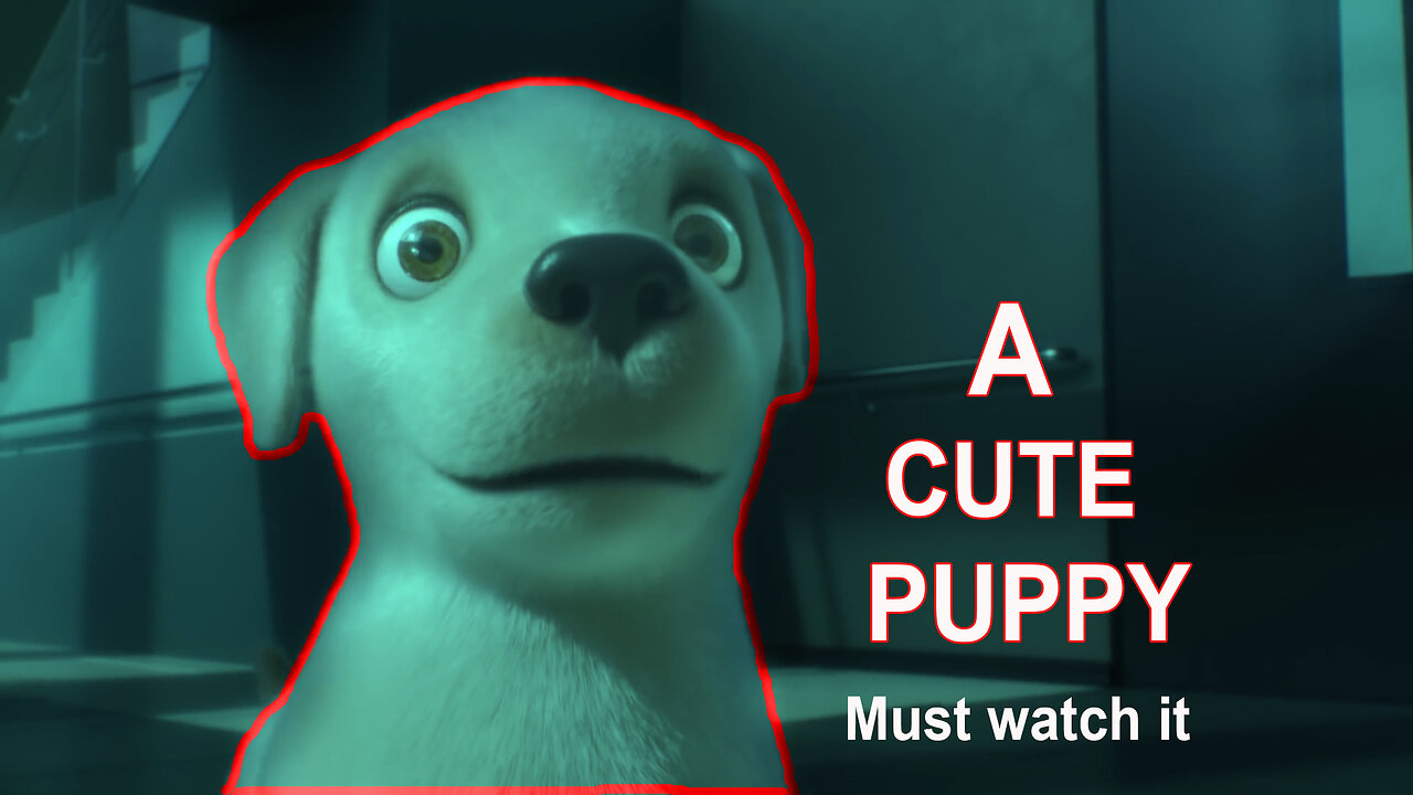 A cute puppy | funny and cute dog | must watch it