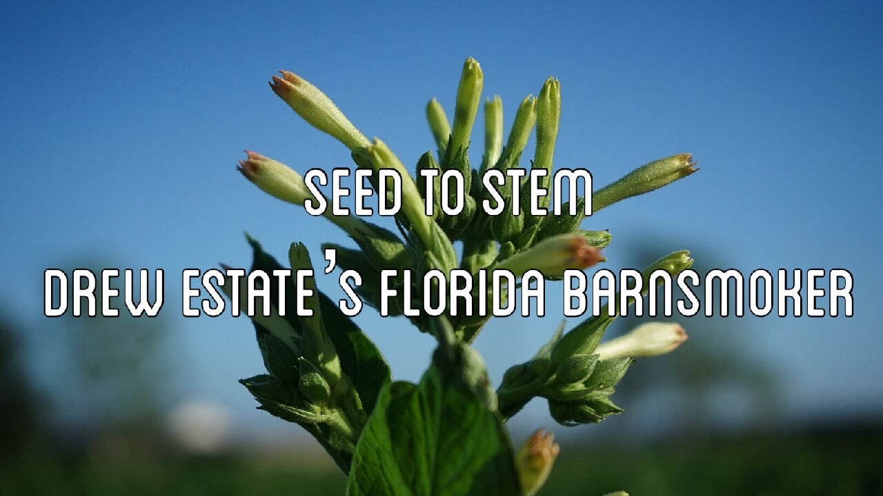 Seed to Stem | Drew Estate's Florida Barn Smoker