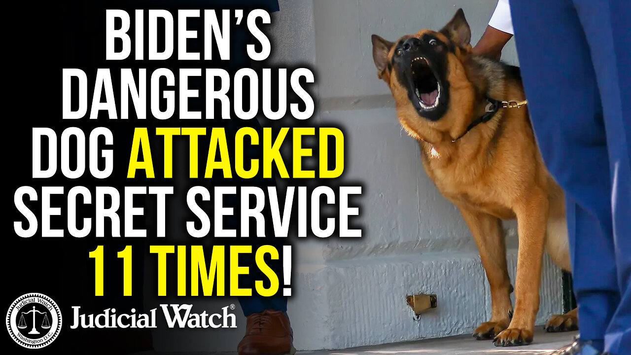 Biden’s Dangerous Dog ATTACKED Secret Service 11 Times!