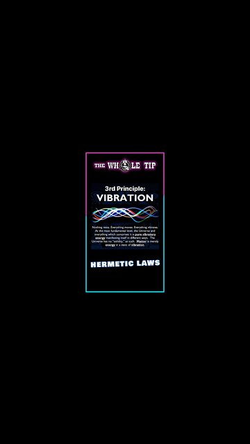 HERMETIC LAWS III VIBRATION - the Whole Tip Daily #shorts