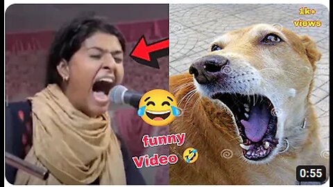 NOORAN SISTERS FUNNY VIDEO🤣 ||मज़ेदार वीडियो || nooran sisters funny song video 🤣🤣 || dj pukuriya