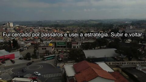 Se não pode com eles, fuja deles... #dronemassa
