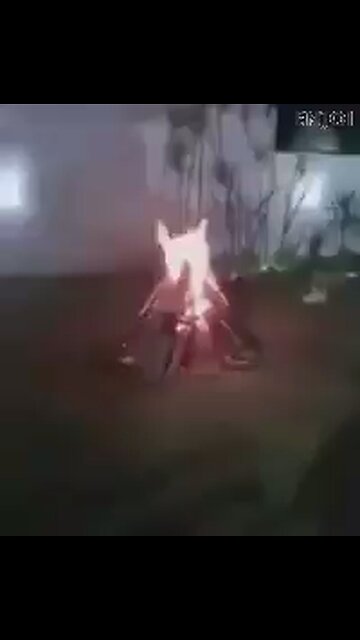 What did I say about playing with fire