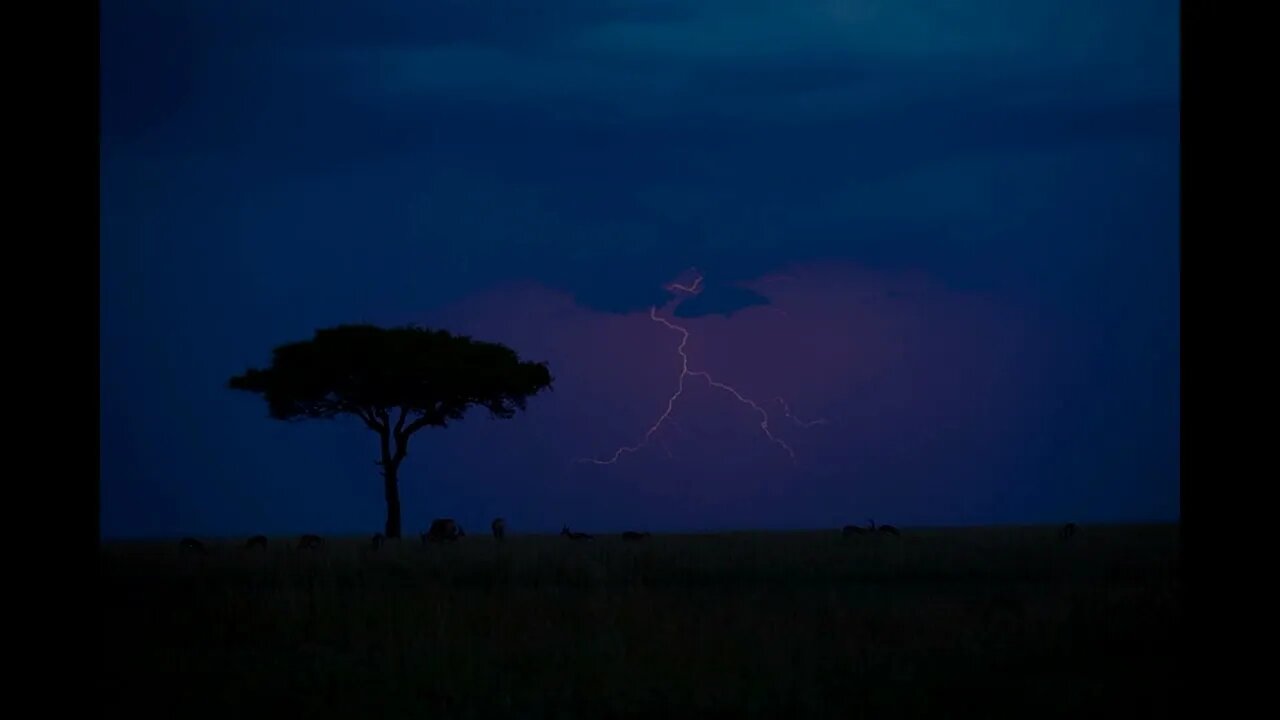 Gentle Rain and Distant Thunder