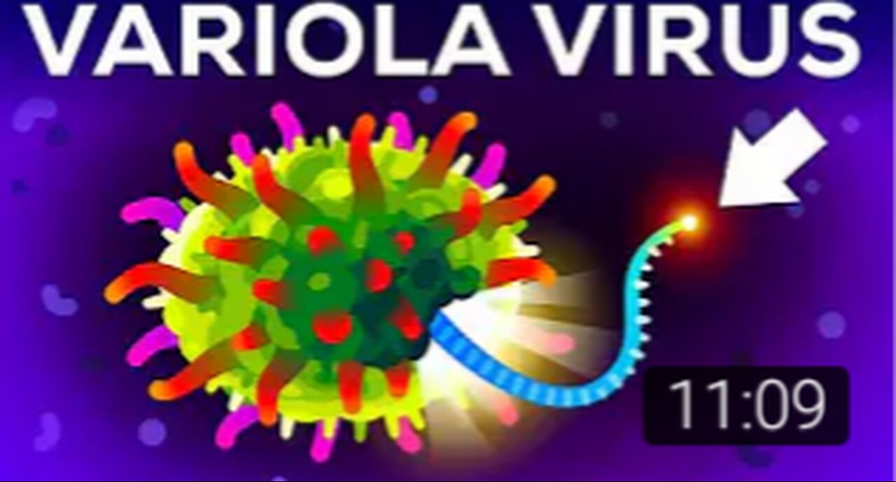 The (second) deadliest virus