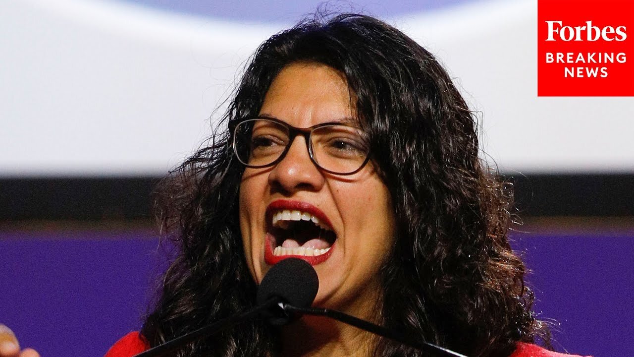 'They Destroy Our Air And Water...Yet They Still Expect Us To Thank Them': Tlaib Tears Into Big Oil