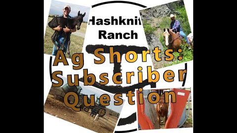 Subscriber Question - Ag Shorts