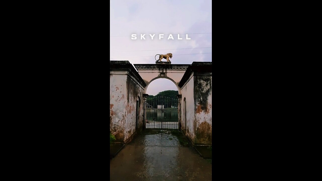 🔴 Let the Skyfall - Adele Theme Song #rawclips #rawclipsbd #rawfootage