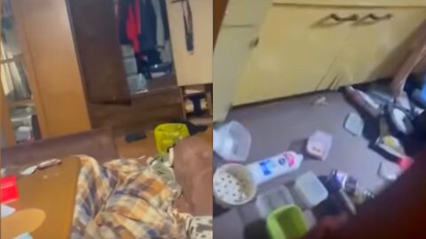 Dramatic Videos Emerge After 7.3 Earthquake Hits Japan