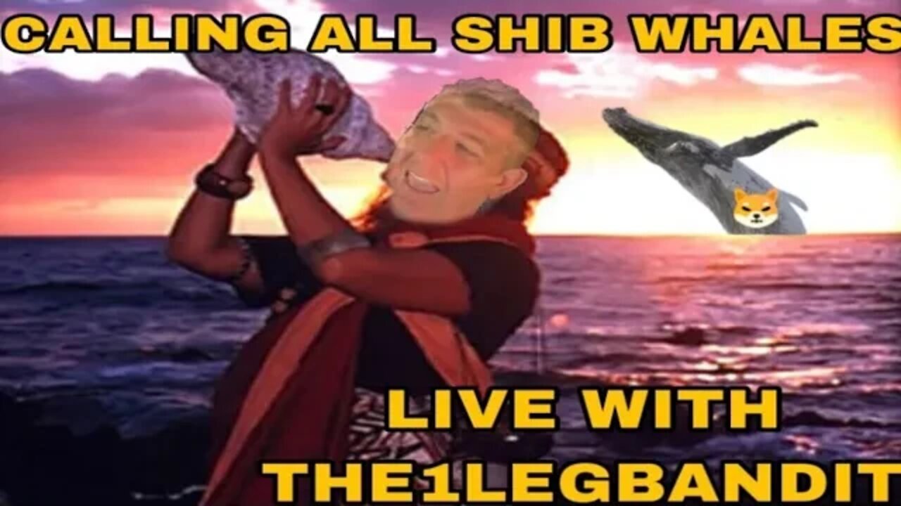 Call to action all SHIB WHALES