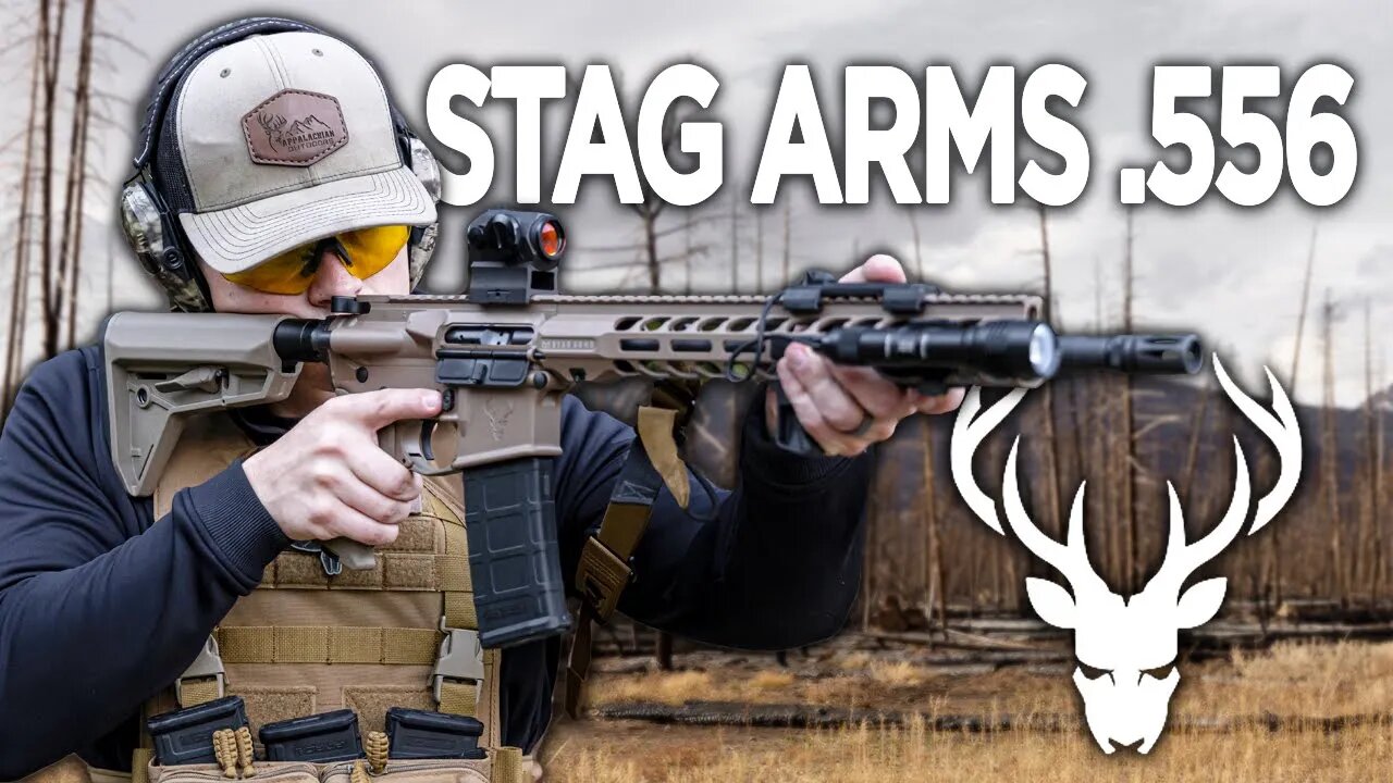 Stag 15 556 Tactical Review!