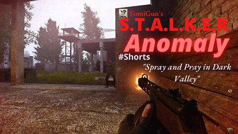 Spray and Pray in Dark Valley - S.T.A.L.K.E.R Anomaly Short Scene