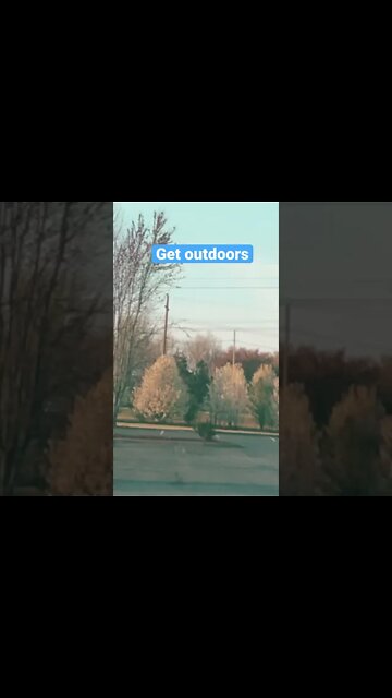 Get Outdoors and listen to the birds #Shorts