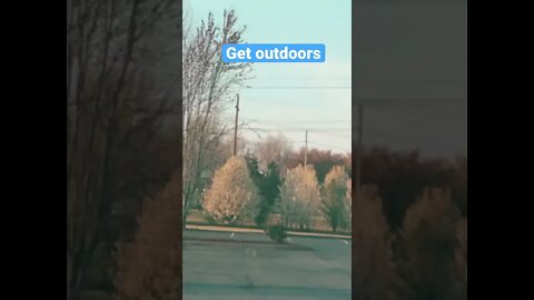 Get Outdoors and listen to the birds #Shorts