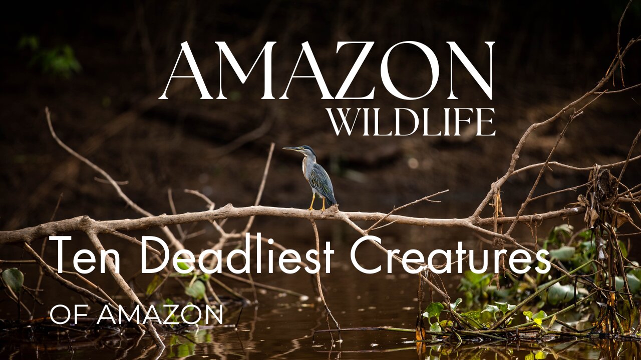 Amazon Deadly Ten