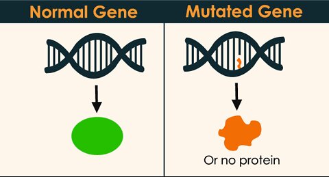 The RH Negative Blood Type: Random Mutation or Genetic Design?