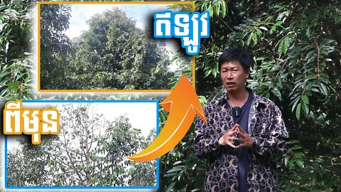 មេជីEXM ជាអាវុធសម្ងាត់ - Chhun kang (November30, 2020)