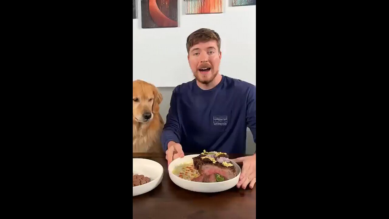 Feeding A Dog $1 Vs $10,000 steak #mrbeast