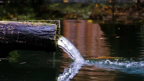 Forest stream for mood. Sounds of nature for sleep.