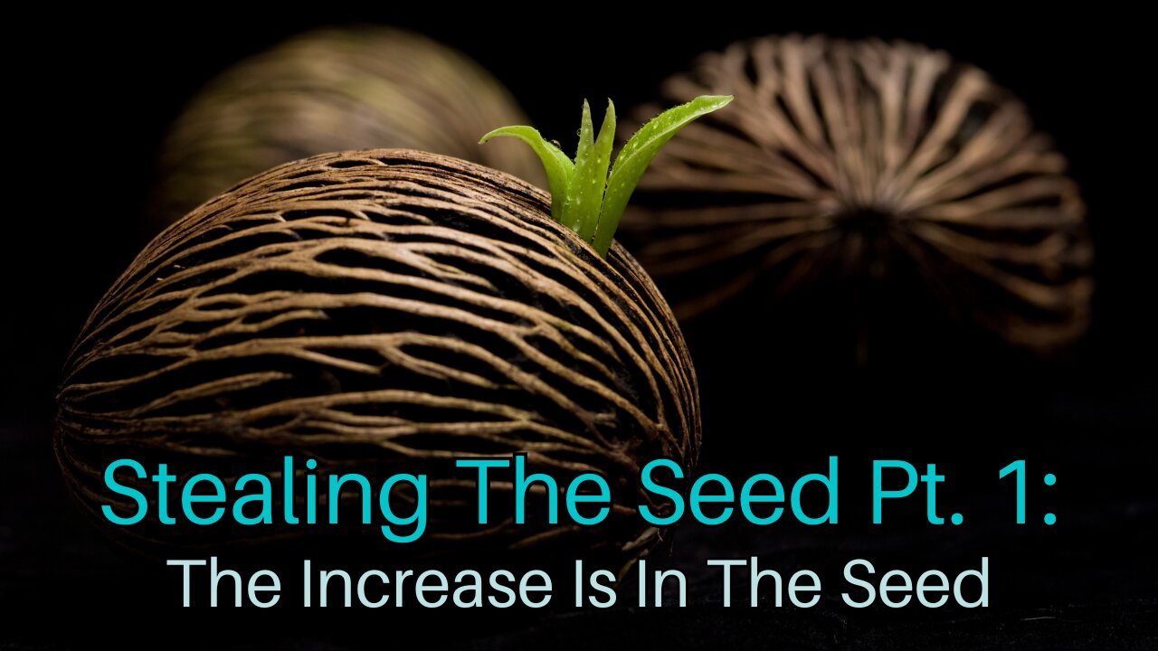 Stealing The Seed Pt. 1: The Increase Is In The Seed