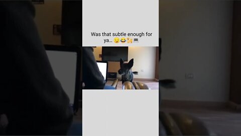 Was that subtle enough for ya… 😏😂🐕💻