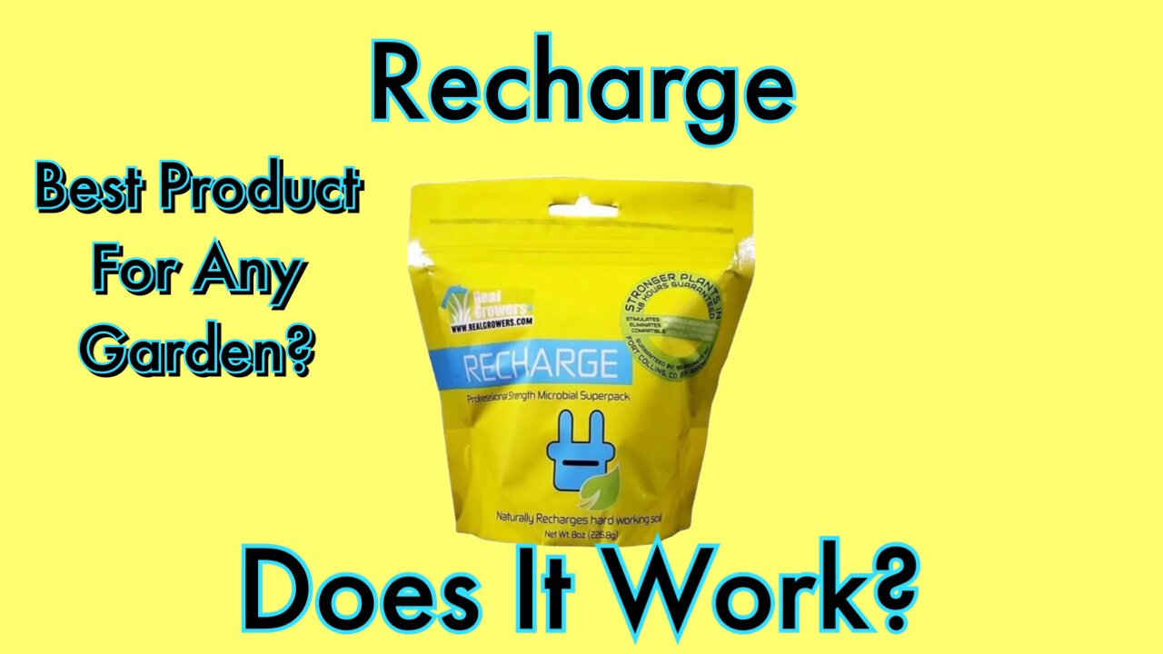 Is Recharge Worth It?
