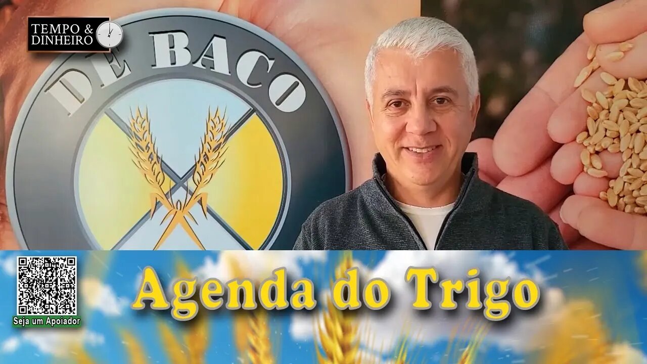 O resumo da semana vem com o protagonismo do câmbio e das cotações na bolsa...