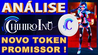 ANÁLISE SHIHIRO INU - NOVO TOKEN PROMISSOR !!!