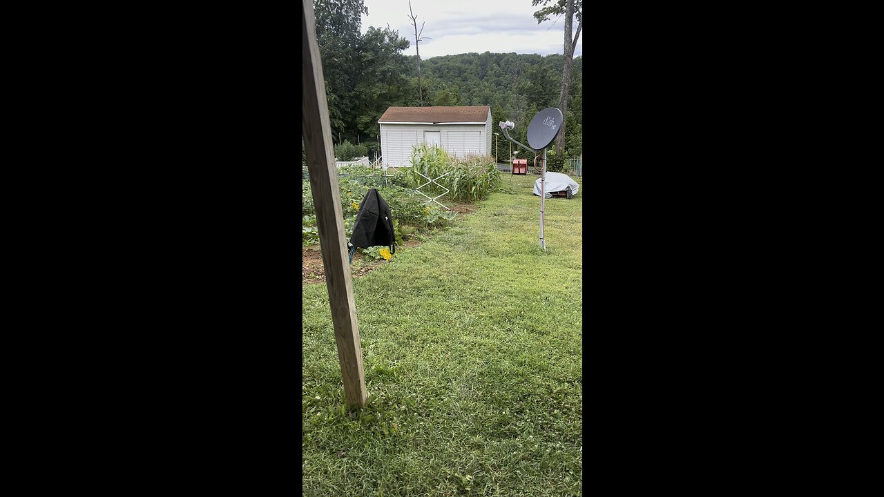 Quick over view-outdoor grow