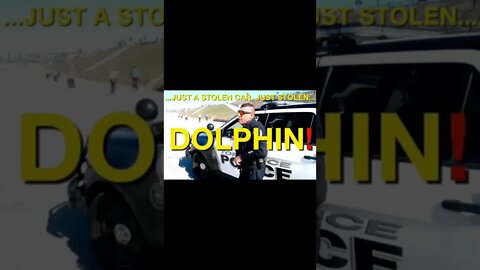 $$$262,000 Dolphin Watching #Cop Gets Porkchop(ed)