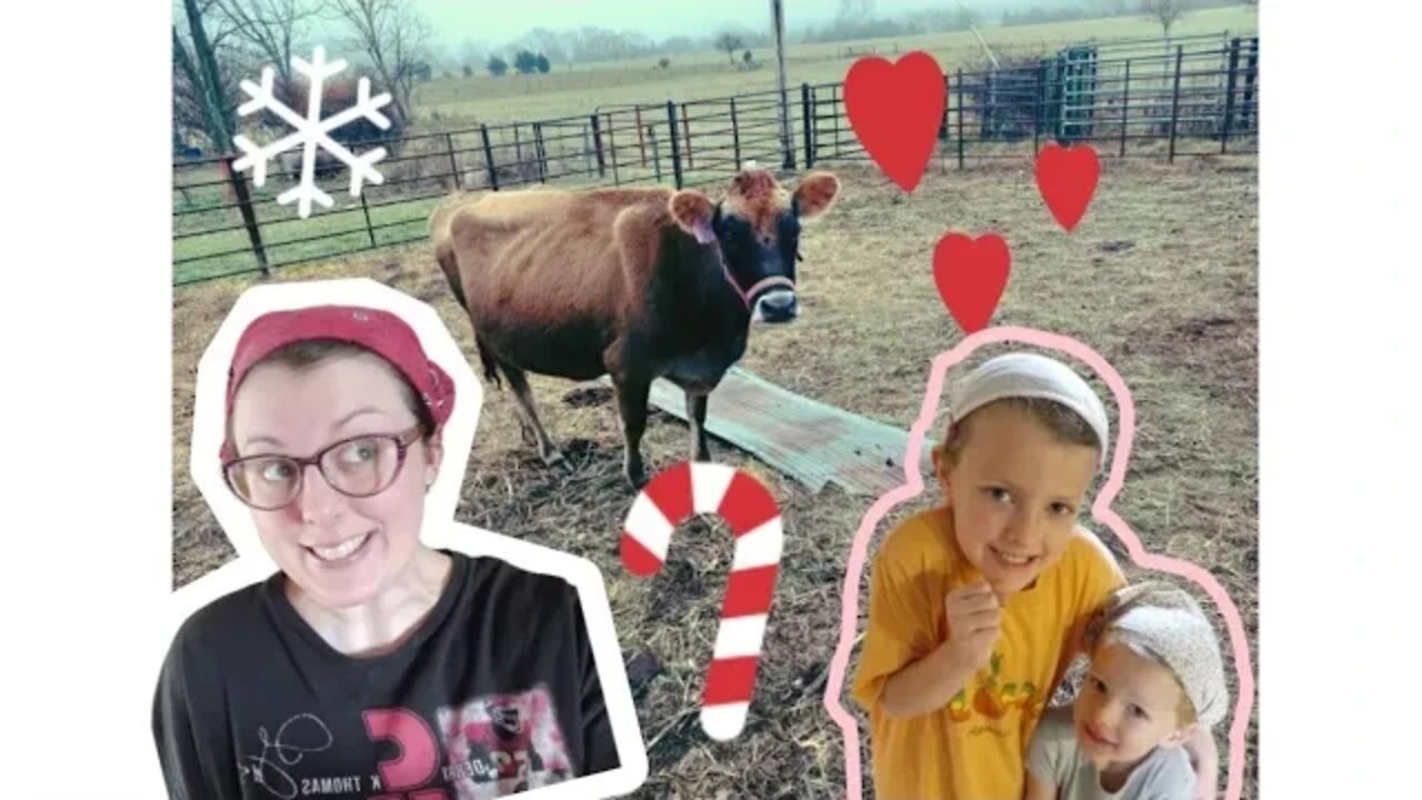 A very Mooooooeyyyy Christmas: Re-thinking gifts put in action.