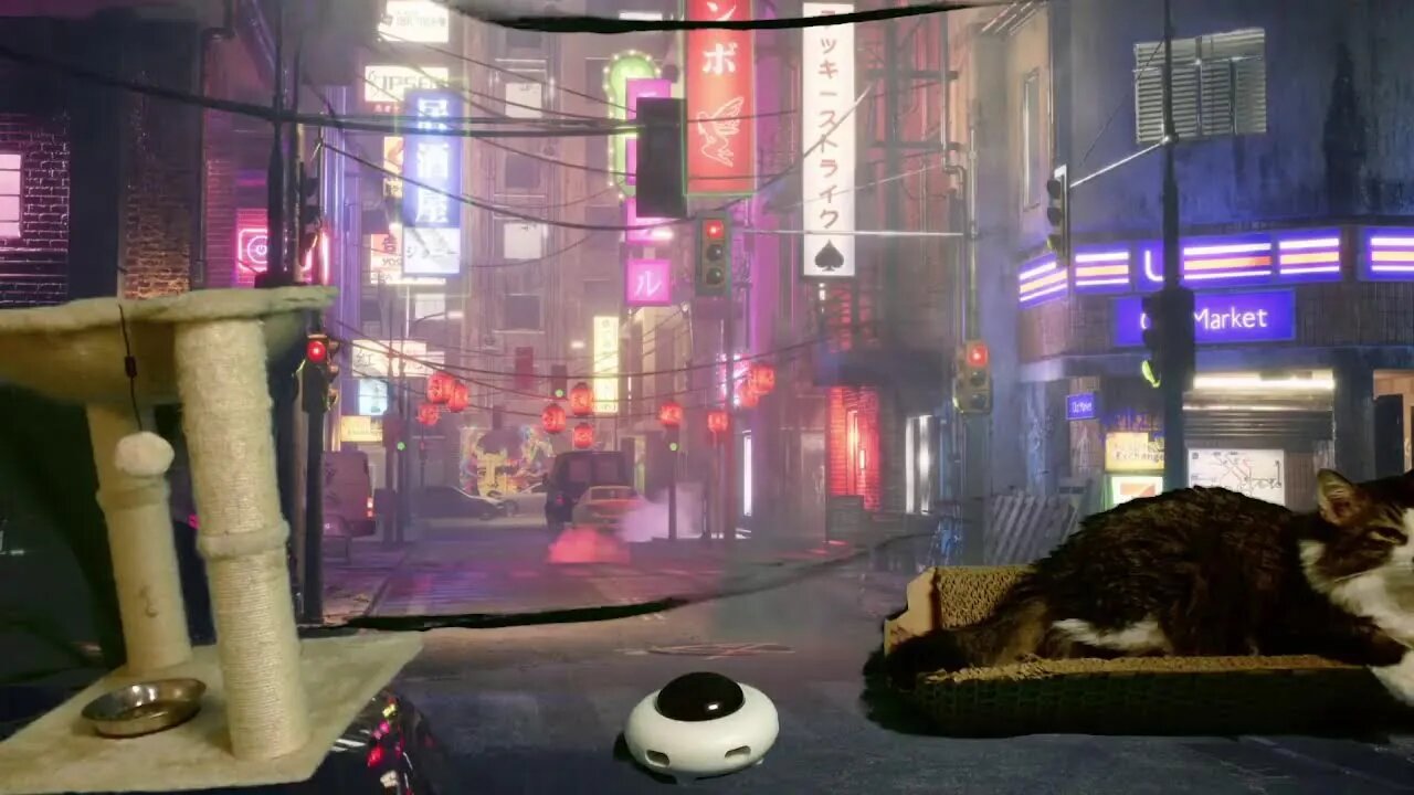 24/7 Cyberpunk Cat Stream