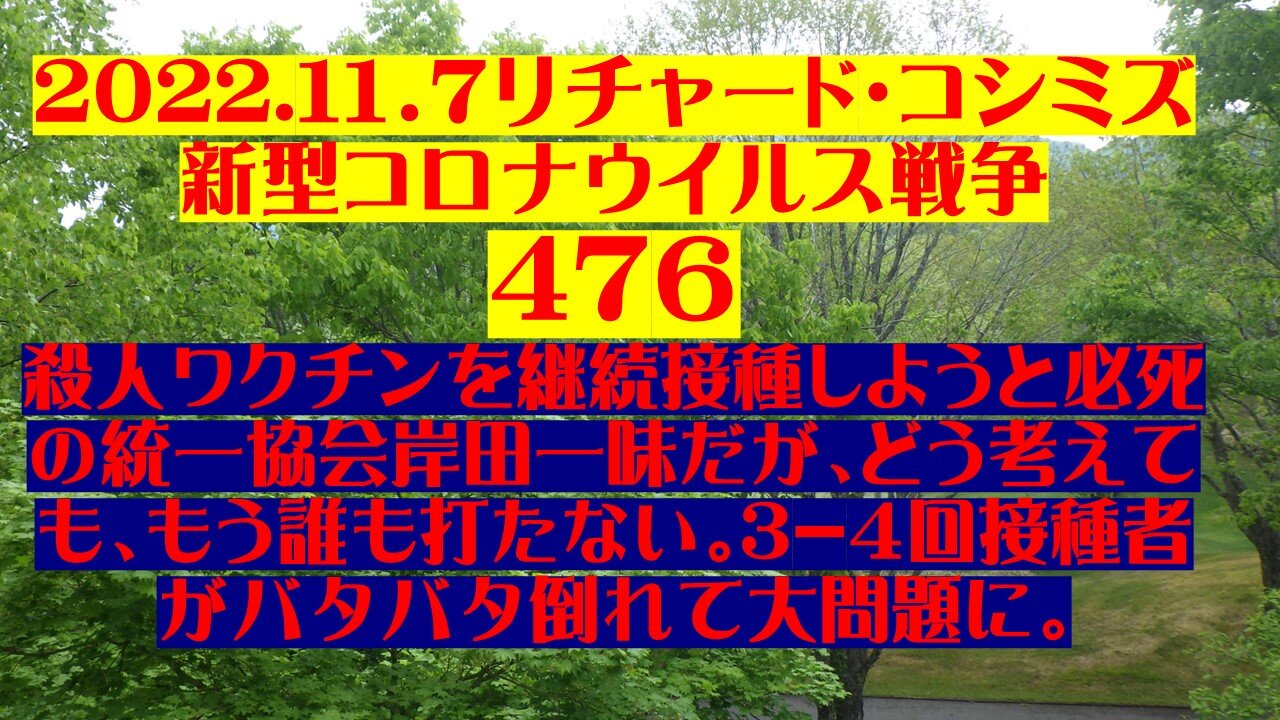 2022.１１．７リチャード・コシミズ 新型コロナウイルス戦争 47６