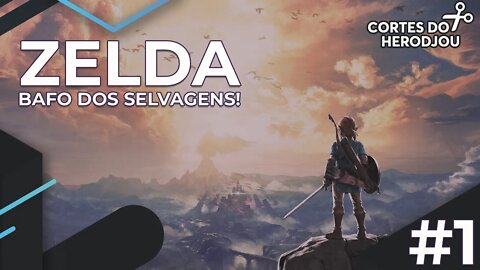 HeroDjou jogando Zelda Breath of The Wild #1